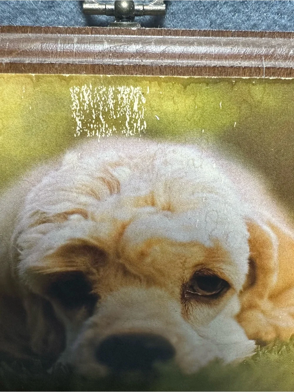 1970/80s Dog Sentiment Wall Art Wooden Plaque - Orange & Brown